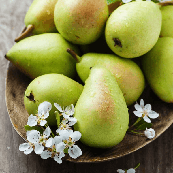 English Pear + Freesia