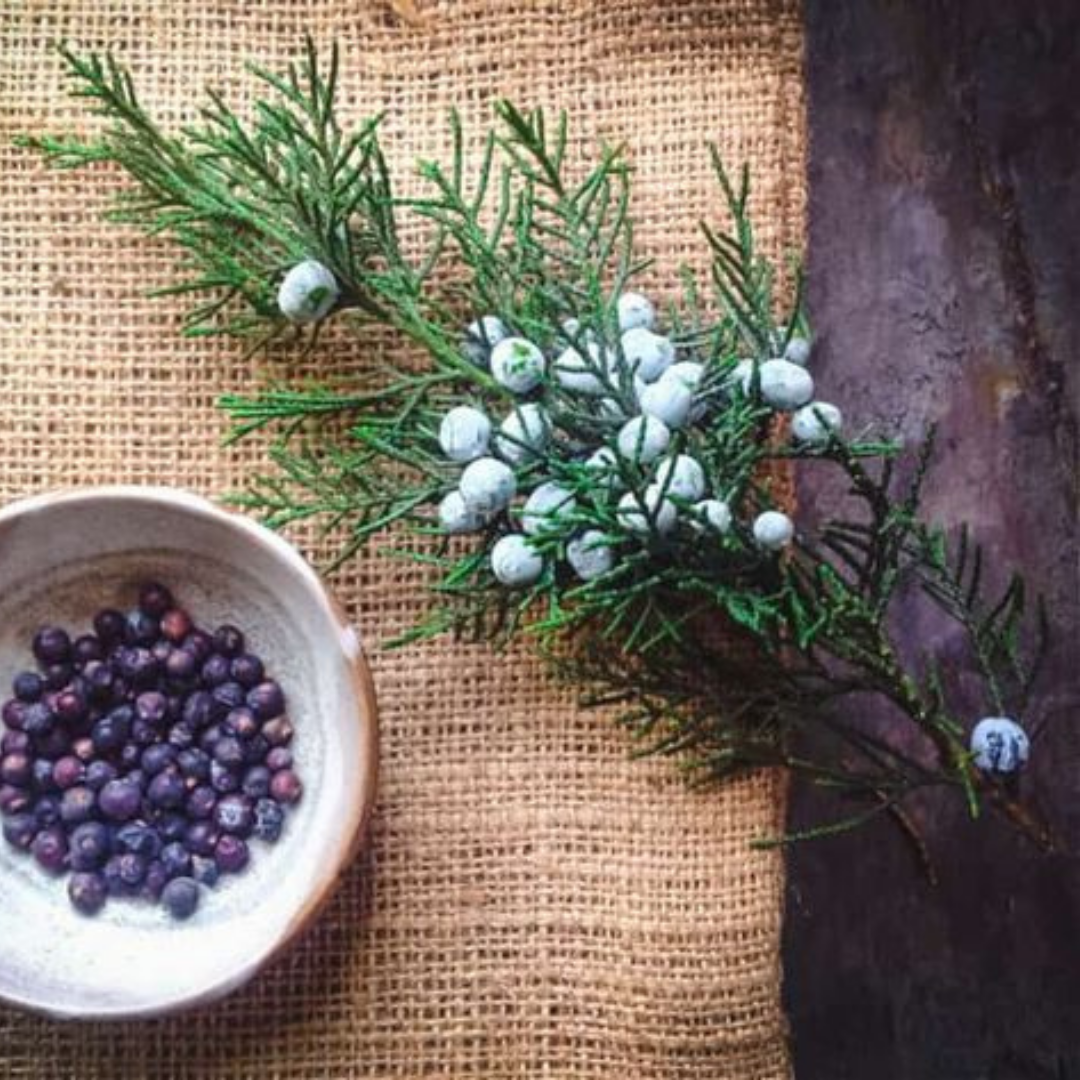 Black Cedarwood + Juniper