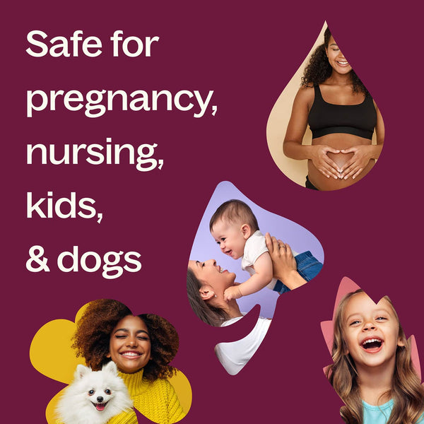 Joyful Creation (Sacral Chakra) Essential Oil Pre-Diluted Roll-On