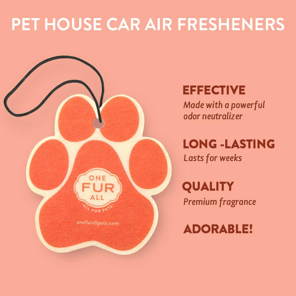 Juicy Melon Car Air Freshener