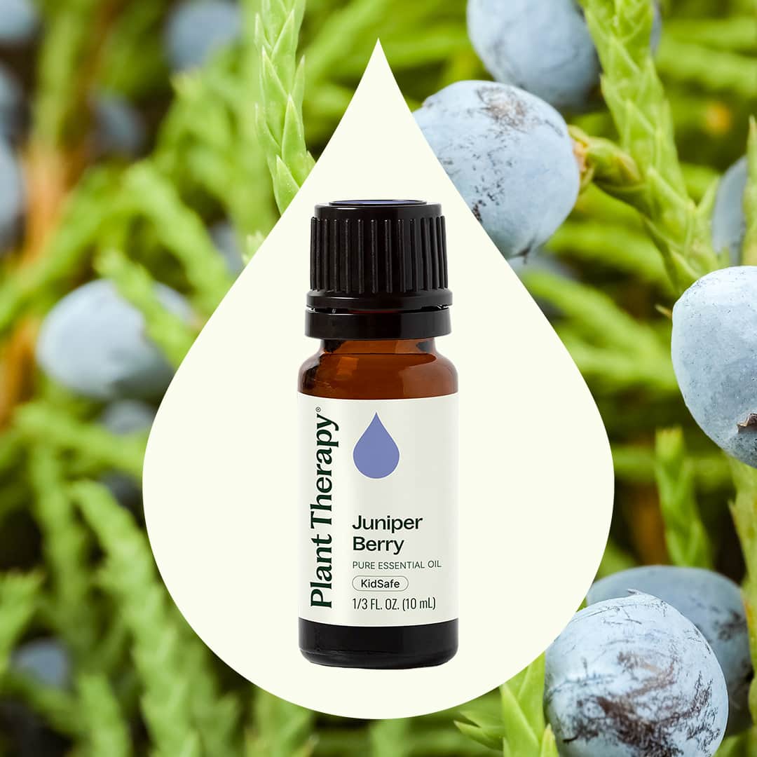 Juniper Berry Essential Oil