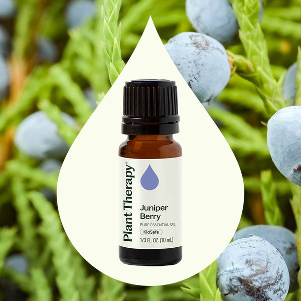 Juniper Berry Essential Oil