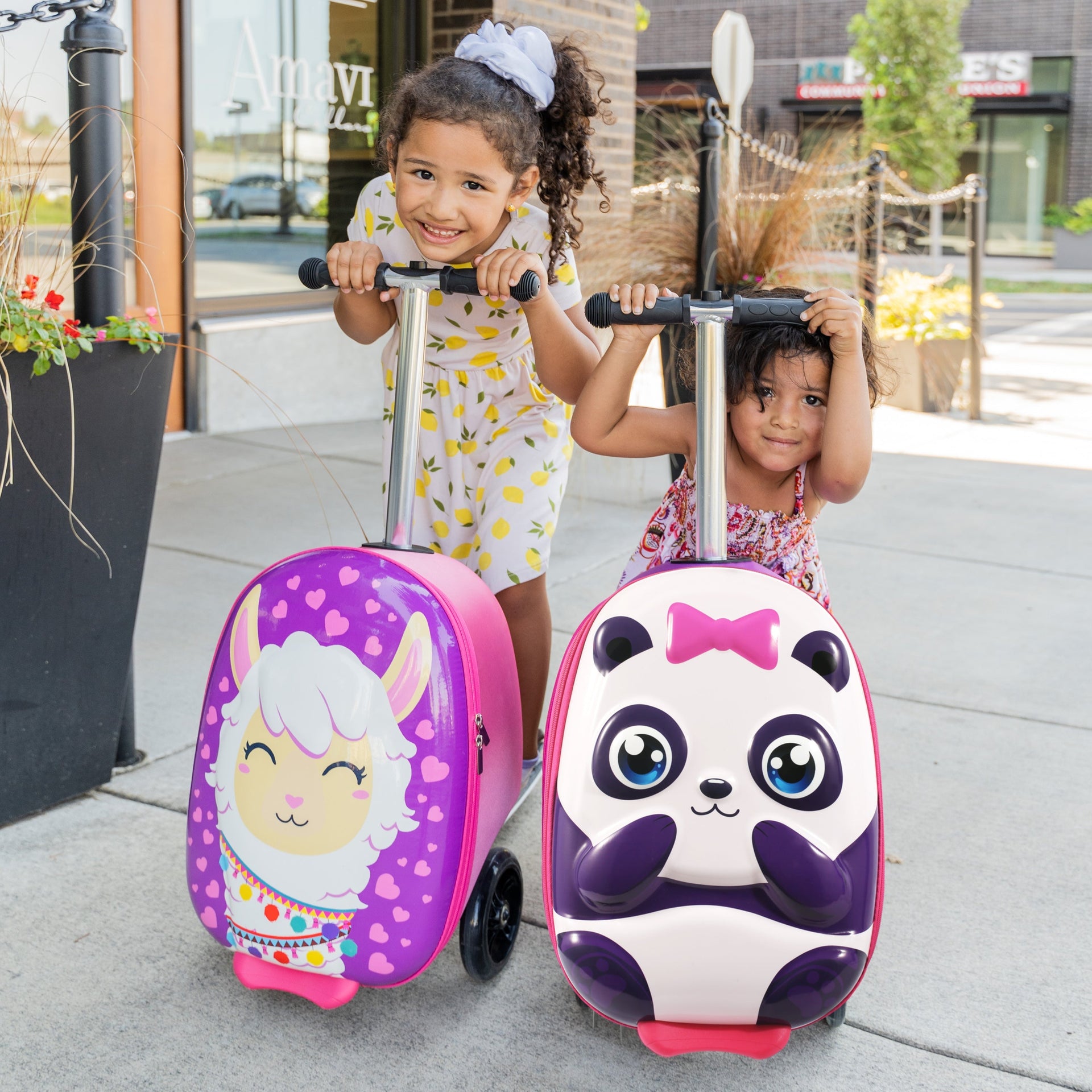 Panda Pack N' Go Scooter