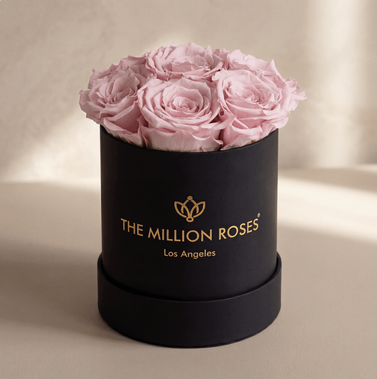 Essence Black Box | Light Pink Roses