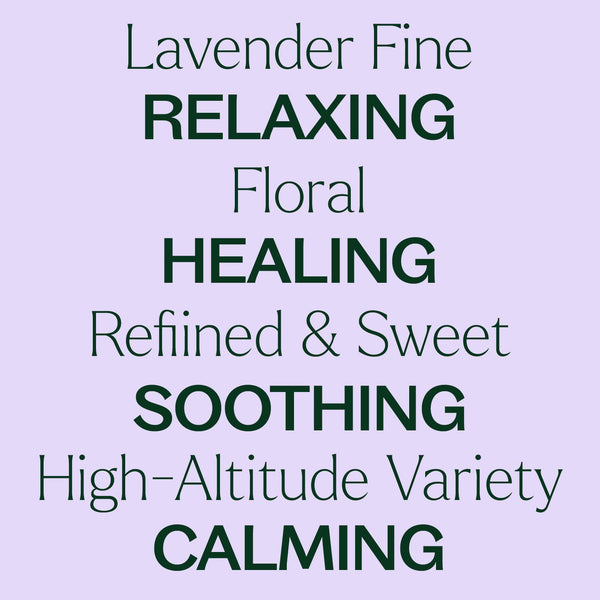 Lavender Fine Essential Oil