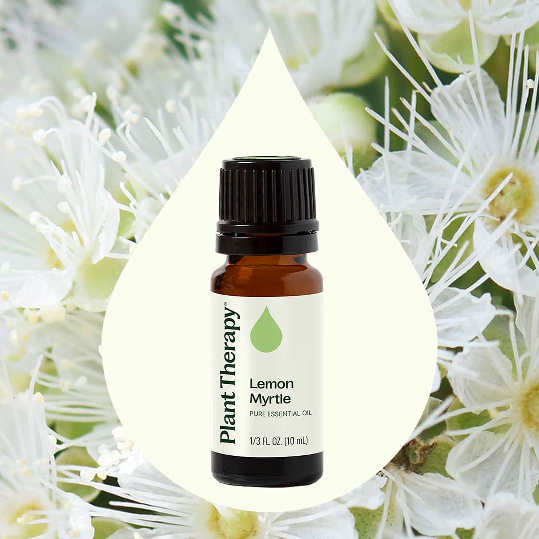 Lemon Myrtle Essential Oil