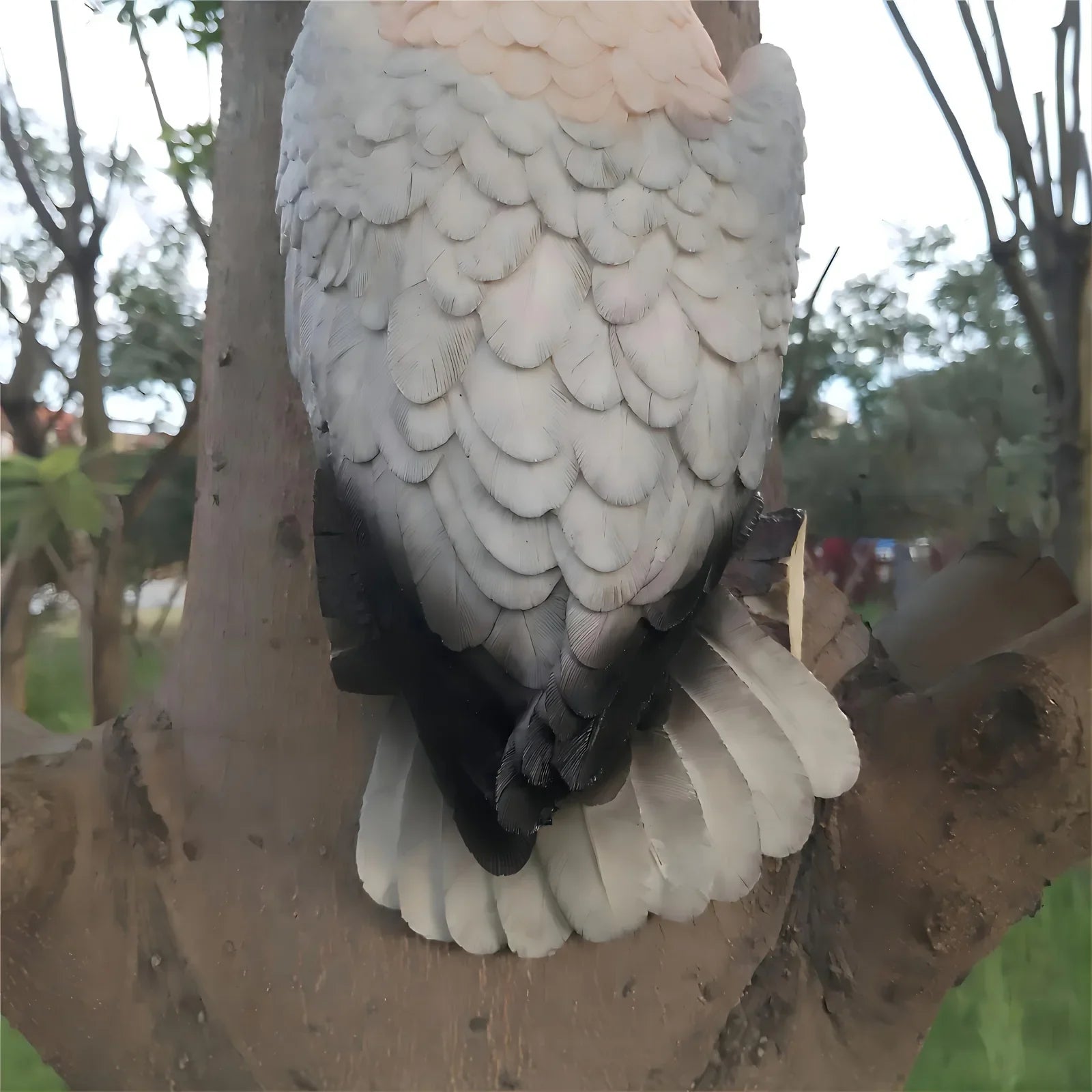 [Lifelike Resin Parrot] Classic White and Pink Resin Parrot Sculpture - Lifelike Outdoor Garden Tree Hanging Decoration, No Electricity Needed, Perfect for Thanksgiving Decor, Bird Decor