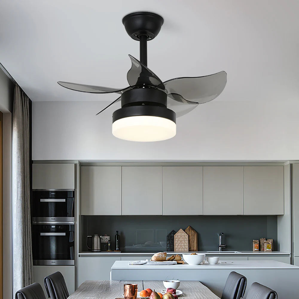 Lighted LED American Ceiling Fan Light