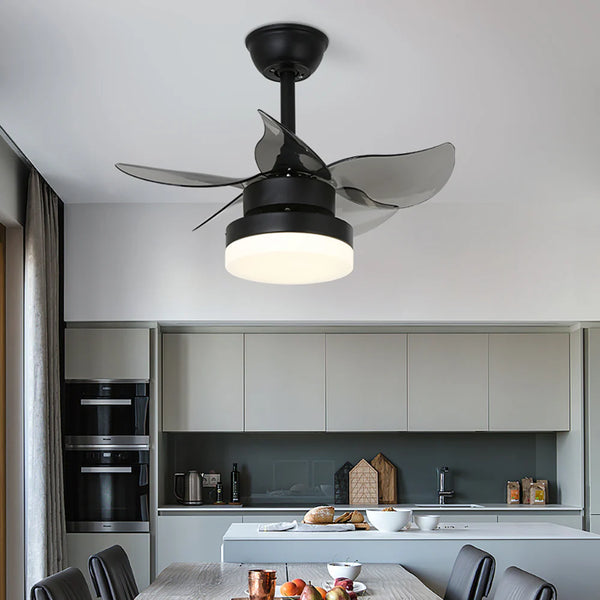 Lighted LED American Ceiling Fan Light