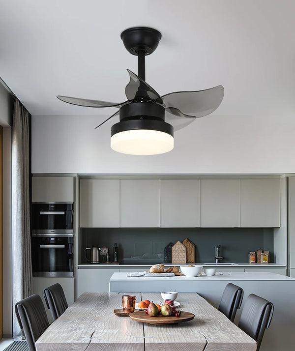 Lighted LED American Ceiling Fan Light