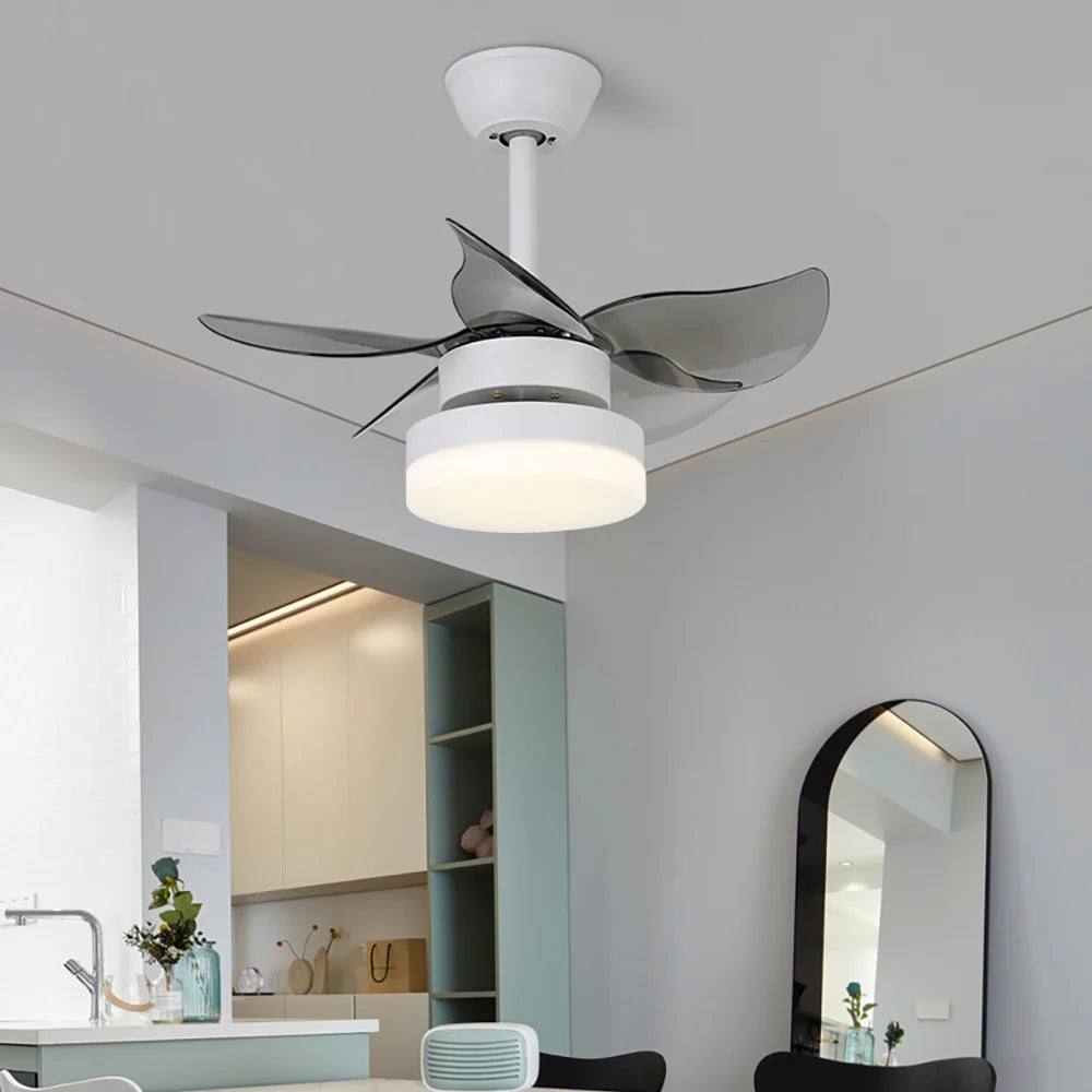 Lighted LED American Ceiling Fan Light