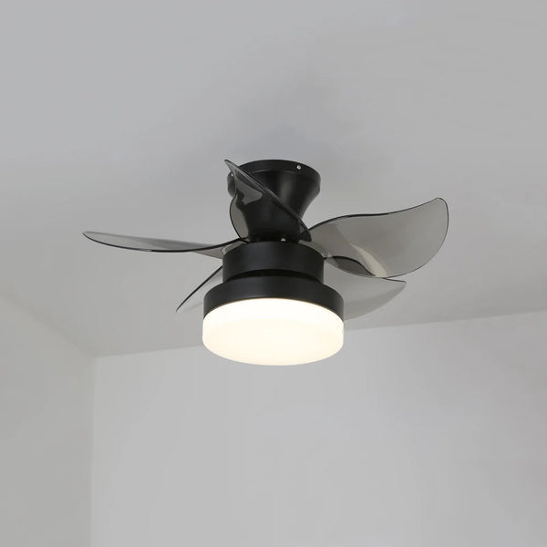 Lighted LED American Ceiling Fan Light