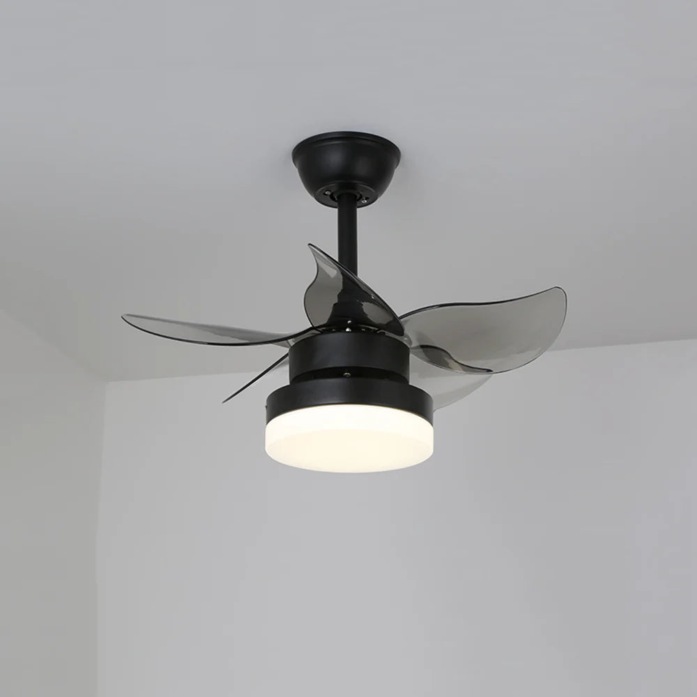 Lighted LED American Ceiling Fan Light