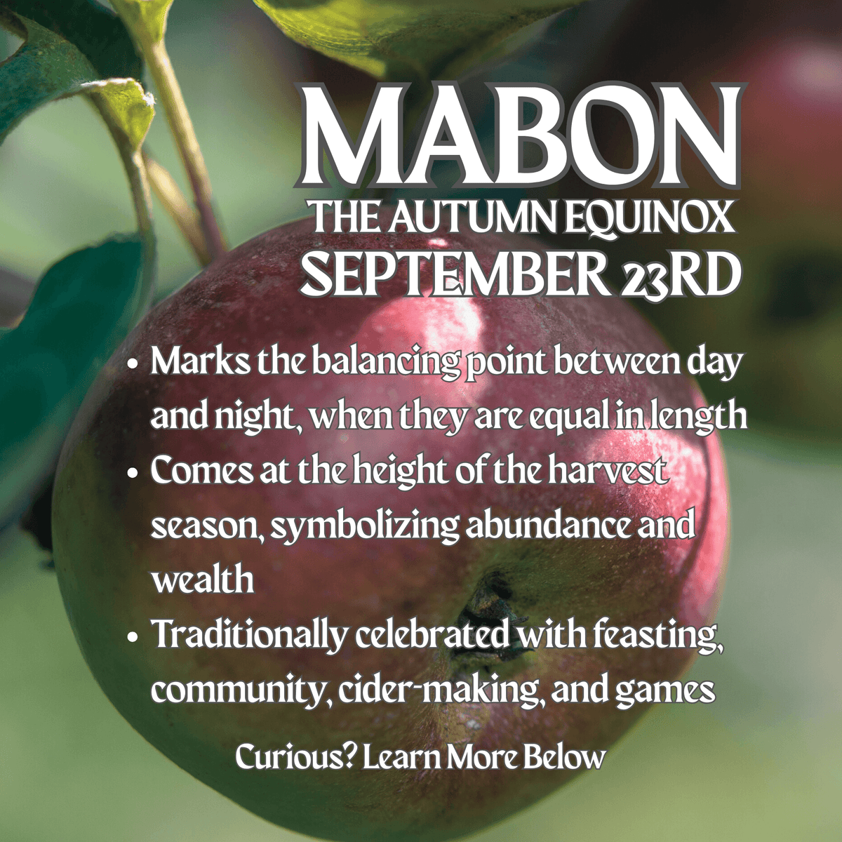 Mabon Diffuser Oil – Fresh Apples, Apple Pie & Harvest Spices