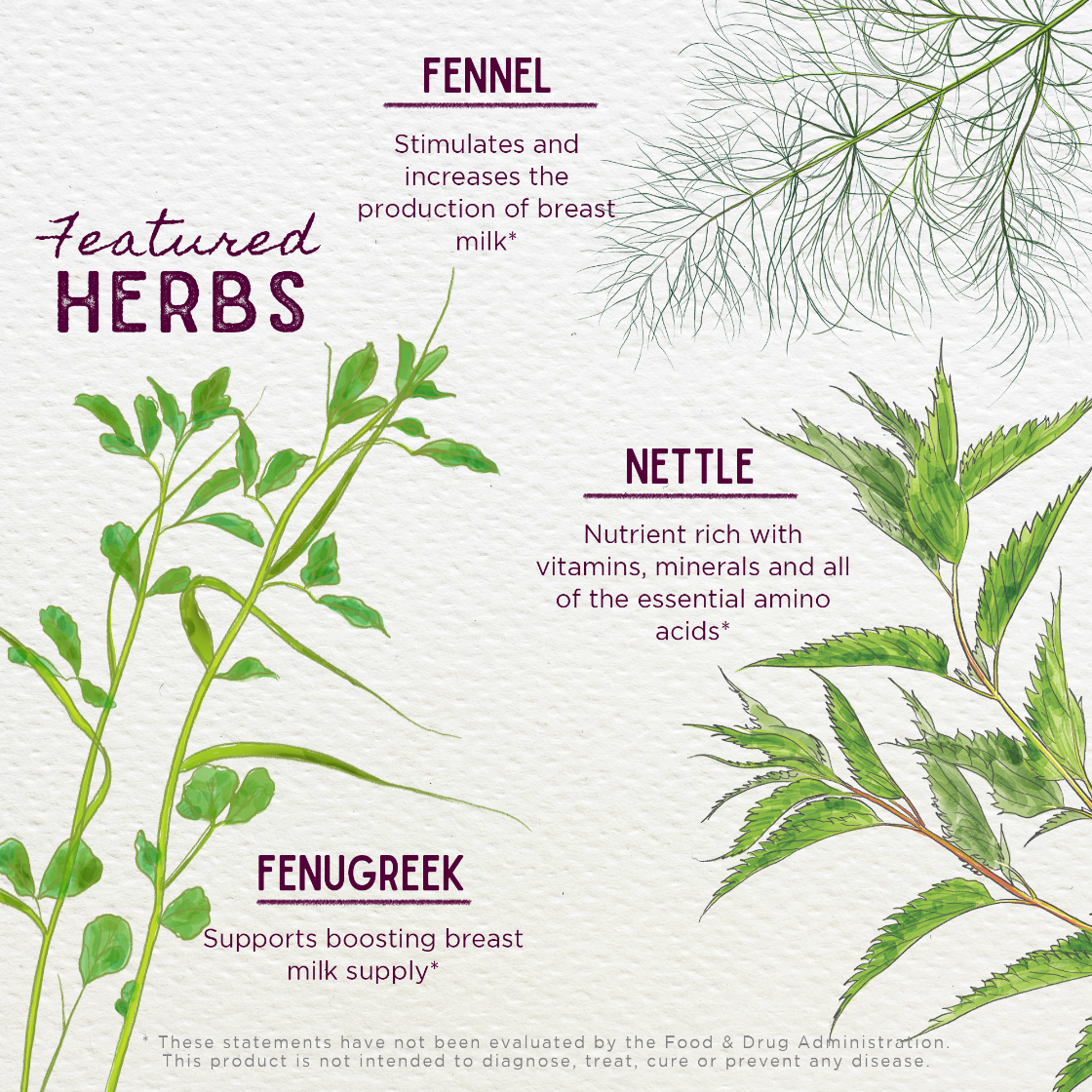 Illustration of herbs with text on a light background