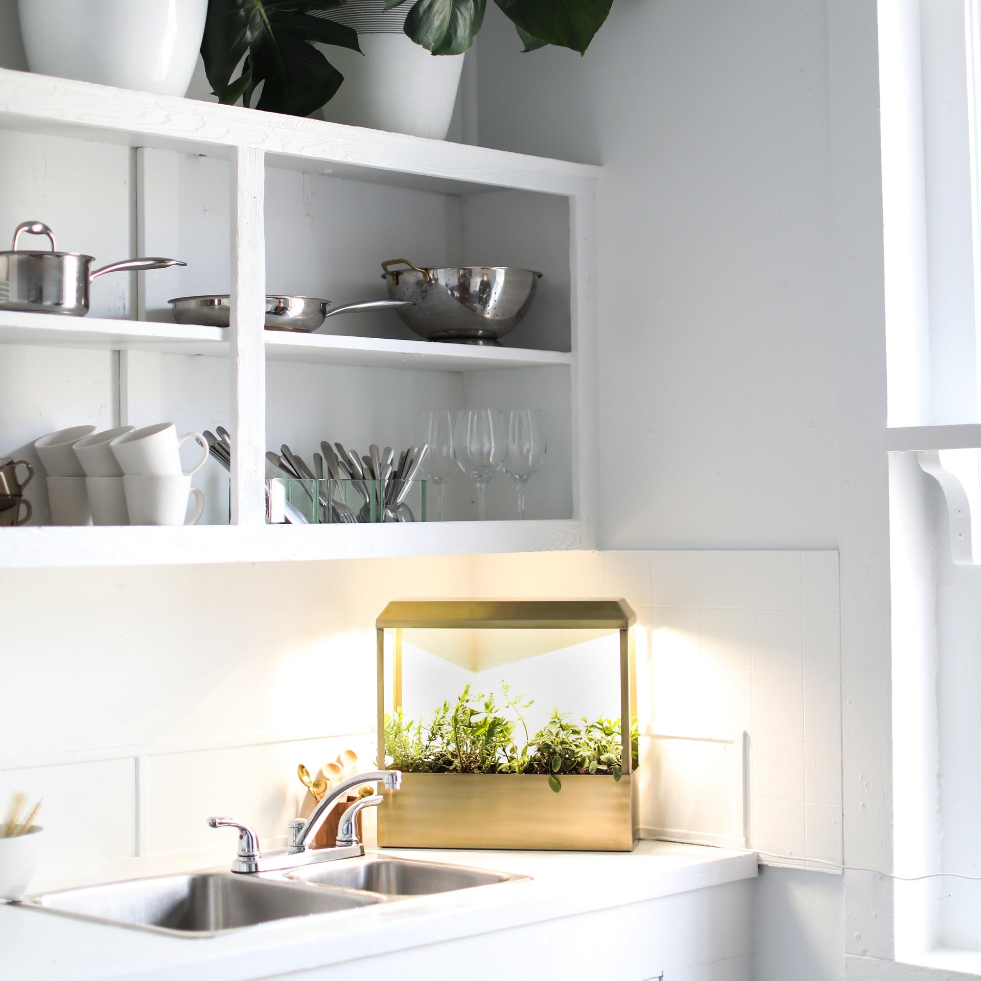 Smart Growhouse