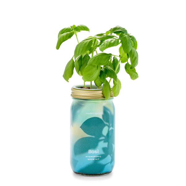 Garden Jars - Organic Herbs