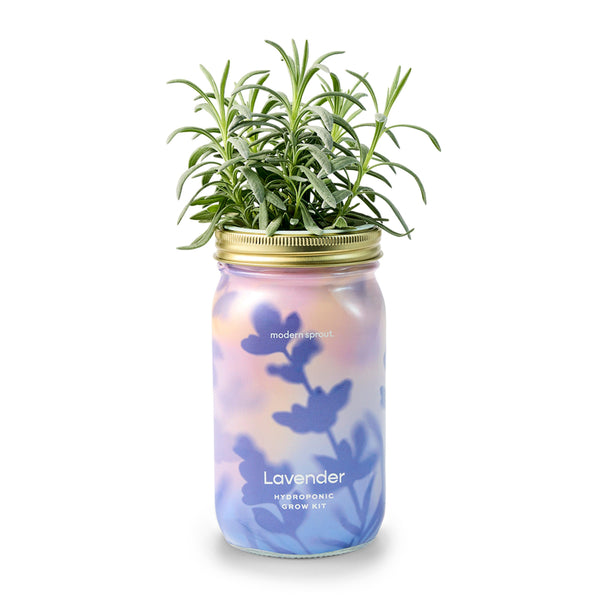 Garden Jars - Organic Herbs