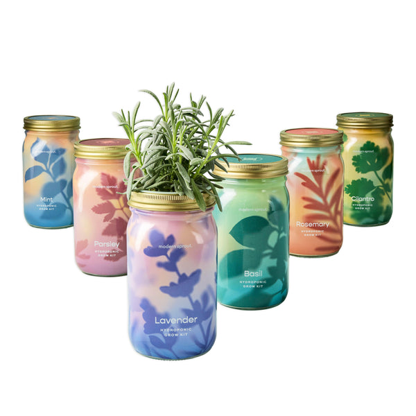 Garden Jars - Organic Herbs