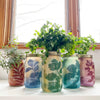 Garden Jars - Organic Herbs