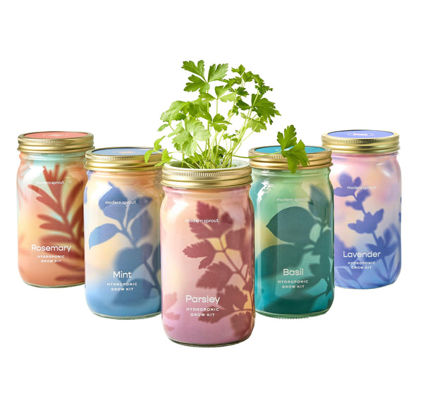 Garden Jars - Organic Herbs