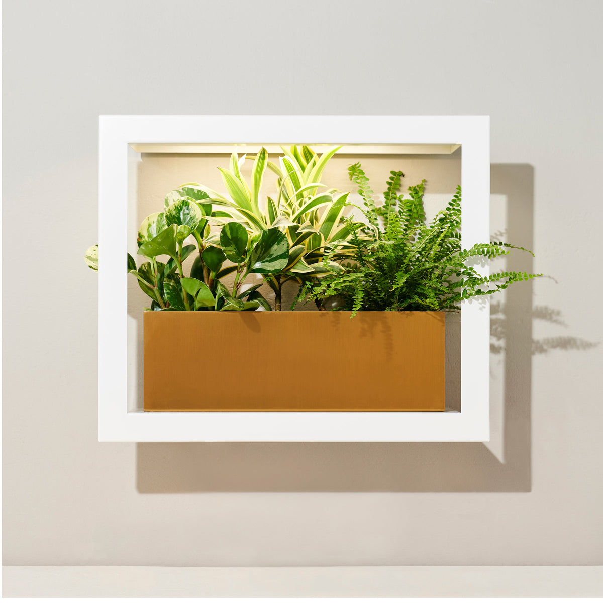 Smart Standard Growframe