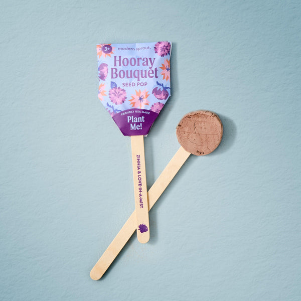Seed Pops - Flowers