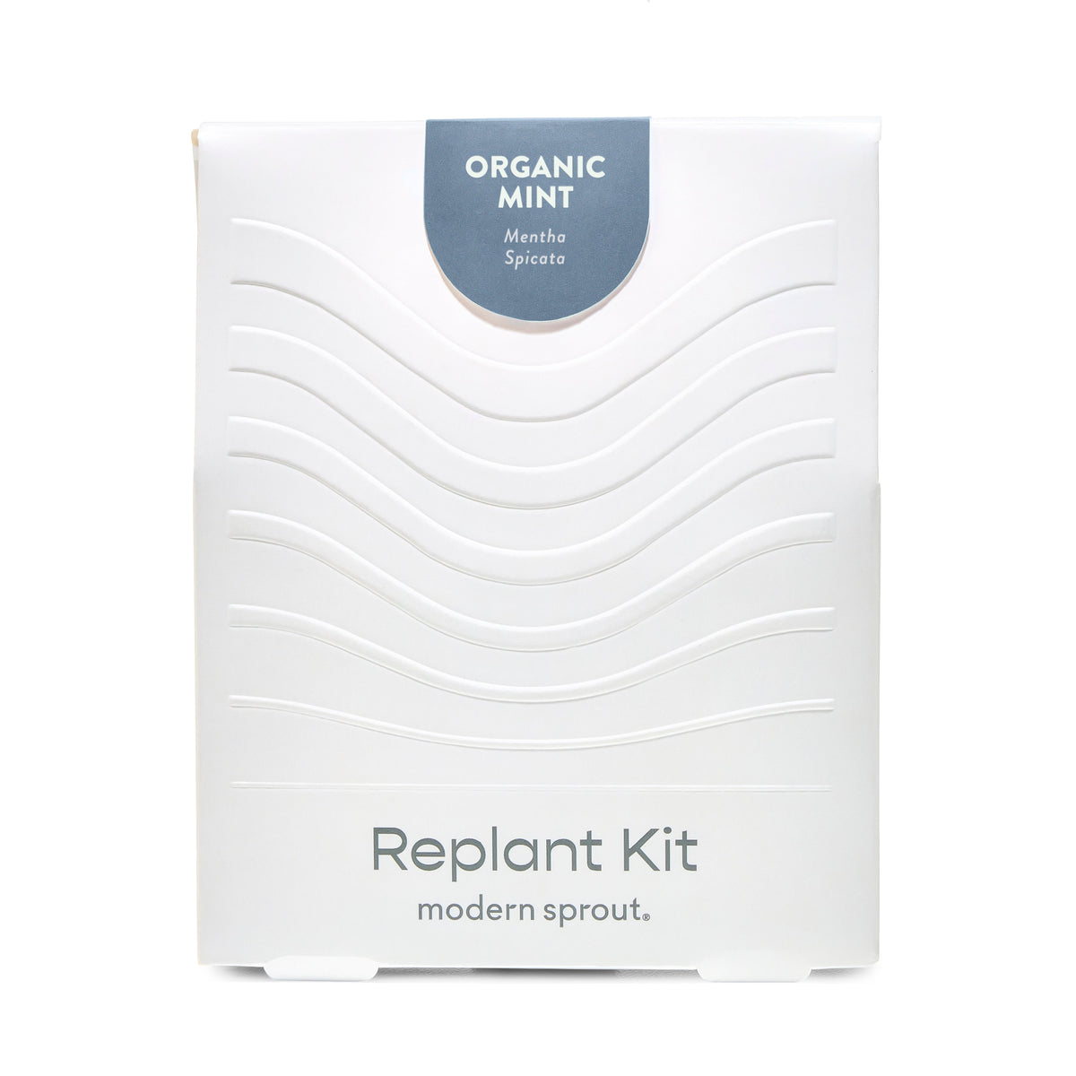 Immersion Hydroponic Replant Kit