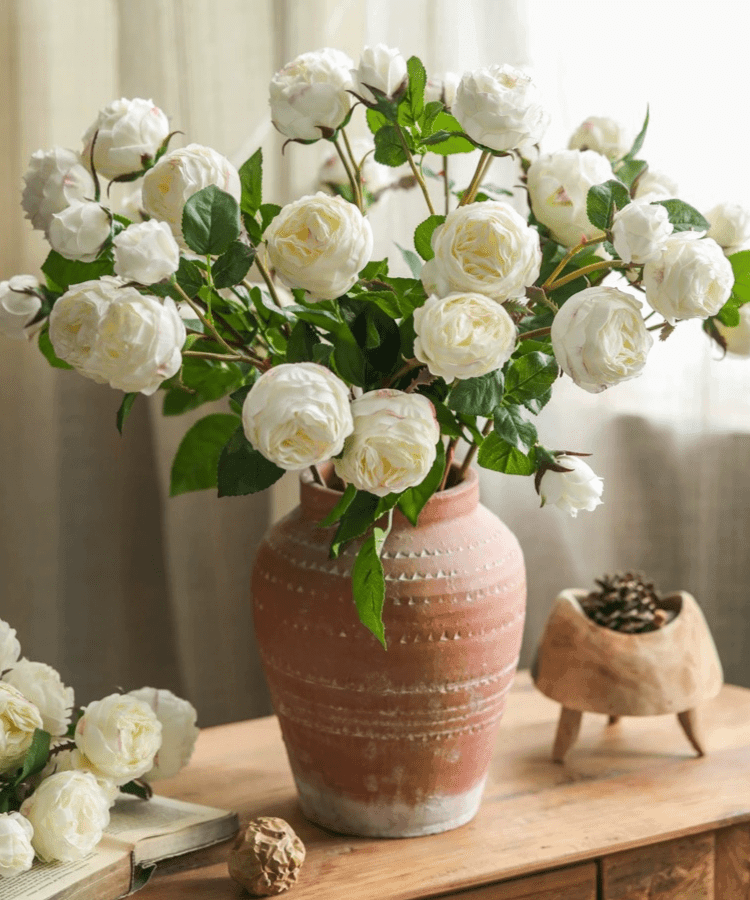 White Cabbage Rose Stem 20.8
