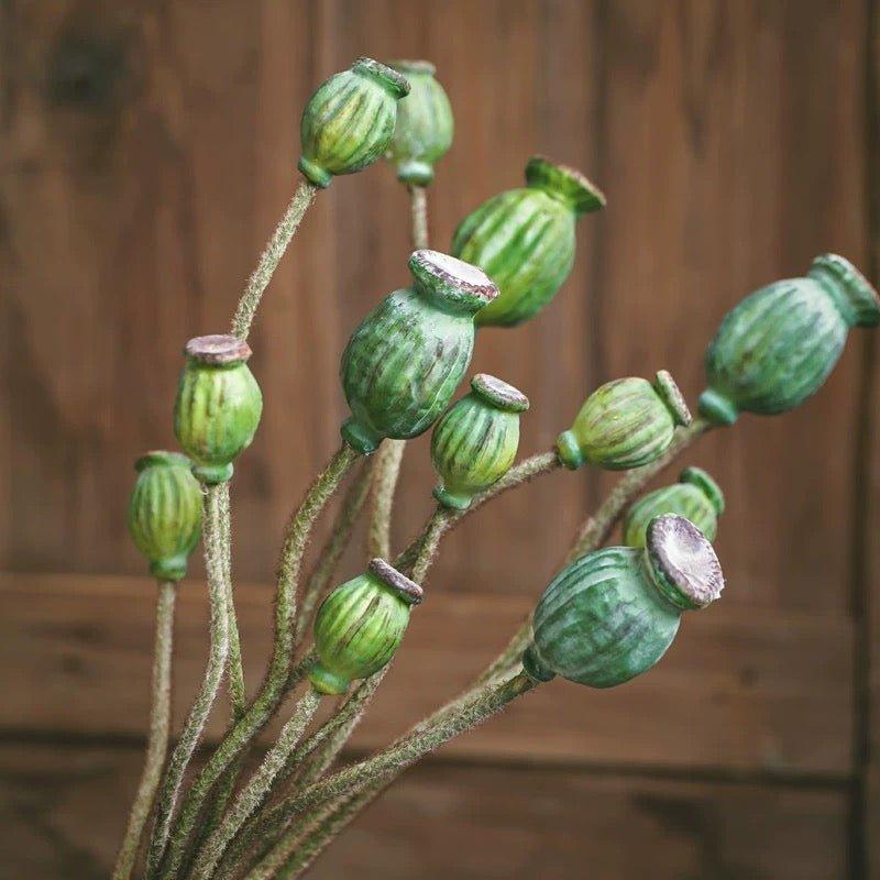 Green Poppy Fruit Stem 30.7