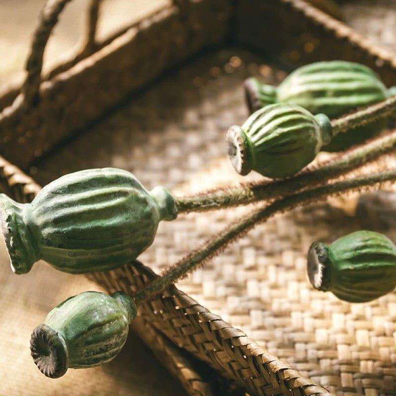 Green Poppy Fruit Stem 30.7