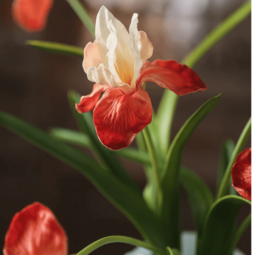 Silk Iris Flower 22