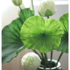 Artificial Lotus Flower and Seedpod - Lotus Leaf Medium