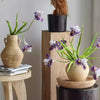 Purple Iris Stem 22