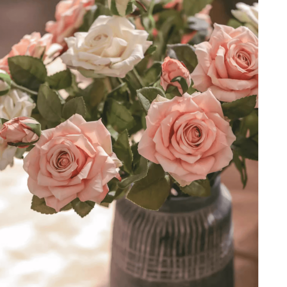 Rolled Edge American Rose Stem 18