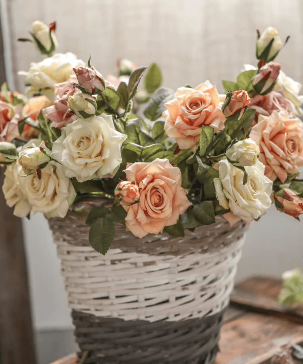Rolled Edge American Rose Stem 18