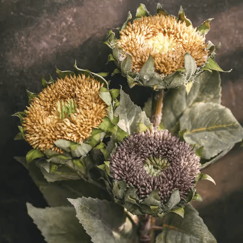 Artificial Small Head Sunflower Stem 23.6