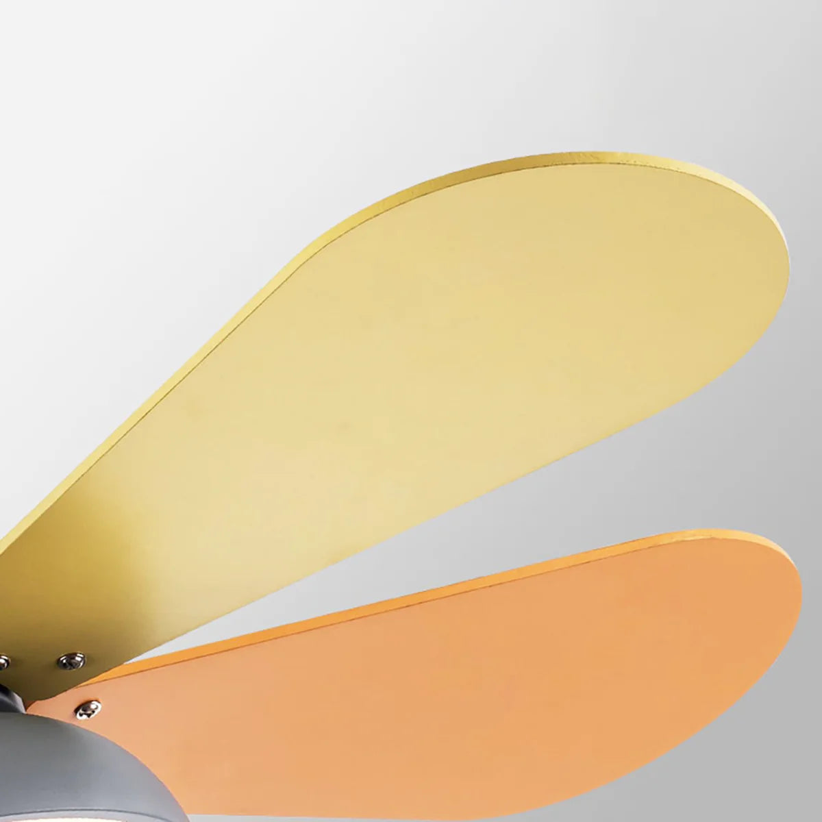 Macaron Colorful Round Ceiling Fan Light