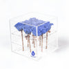 9 Preserved Roses in Acrylic Box: 100% Real Natural Roses That Last Over 1 Year