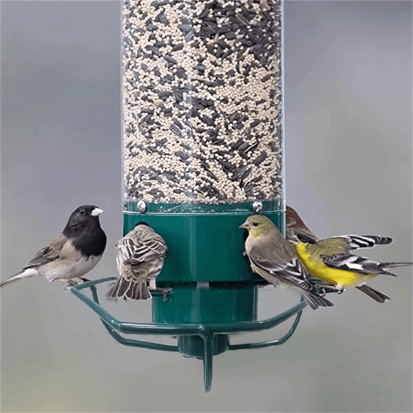 Squirrel Proof Bird Feeder Hanging Metal Wild Bird Seed Feeder 35cm