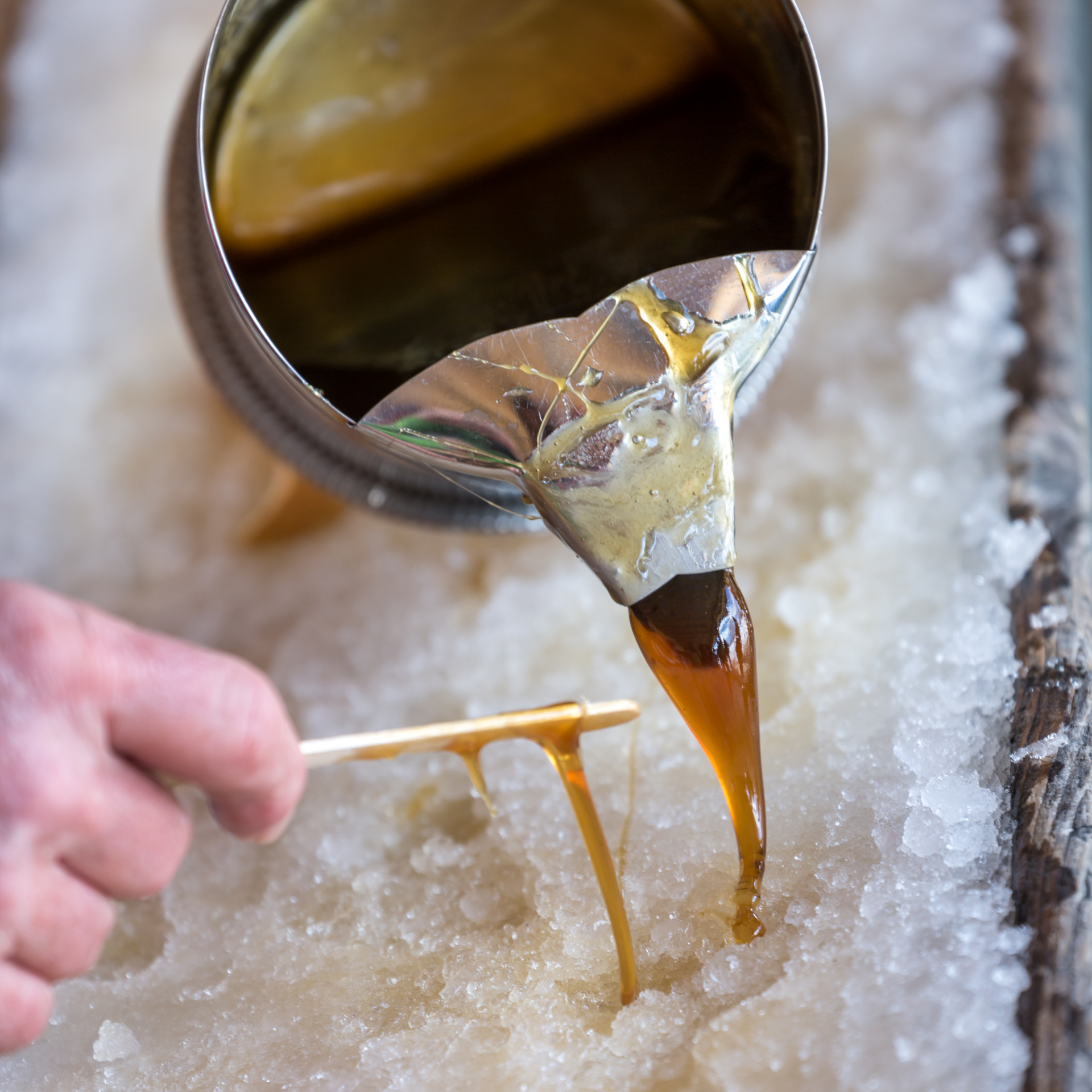 Maple Sugar