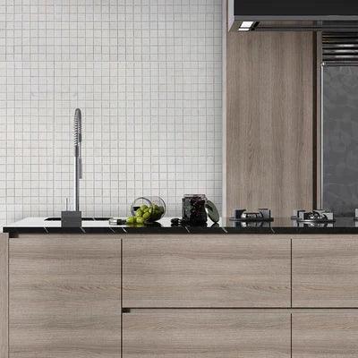 Palia White Dolomite Mosaic Tile 2