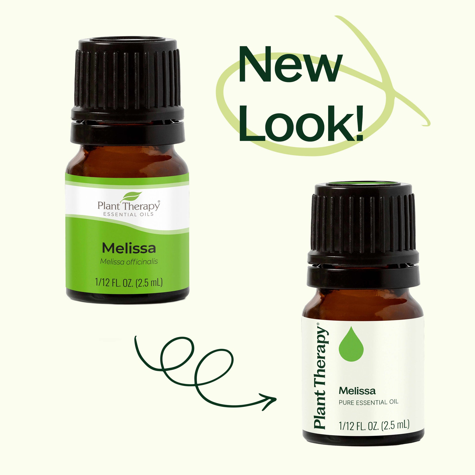 Melissa Essential Oil
