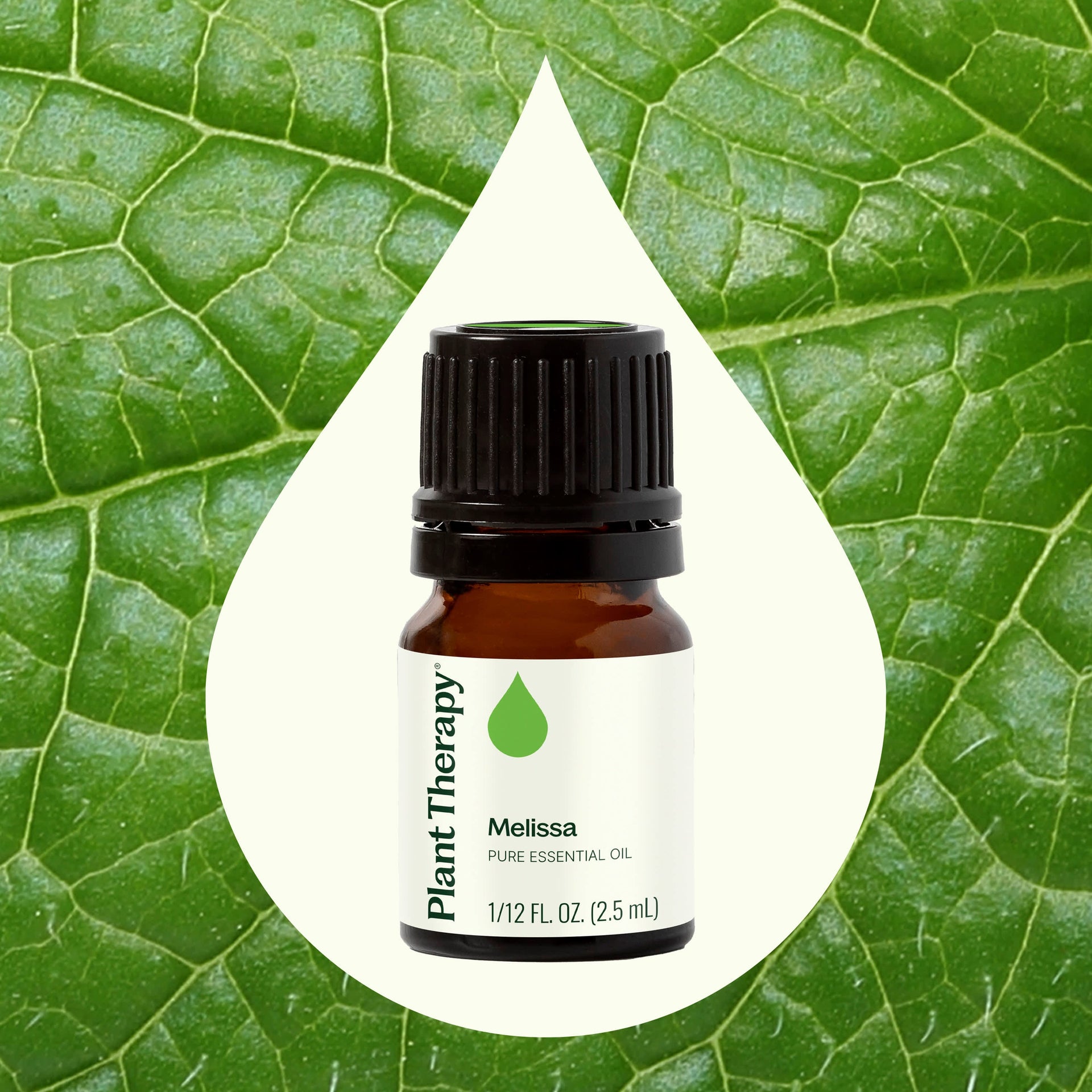 Melissa Essential Oil