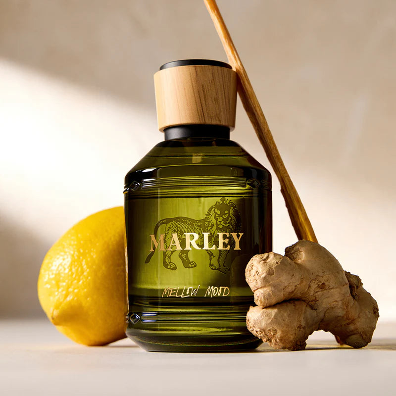 Mellow Mood for Men - Eau De Toilette by Bob Marley