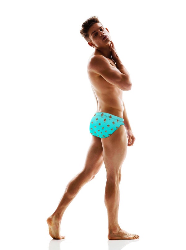 Hollywood Heat Swim Brief - Blue Gradient