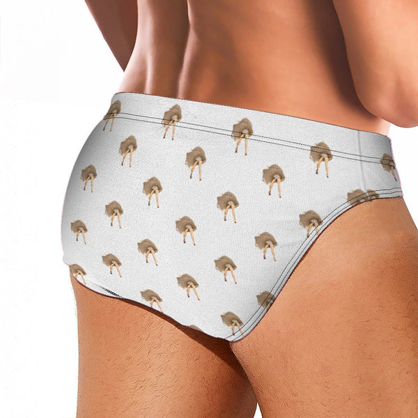 Hollywood Heat Swim Brief - White