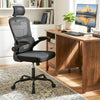 Mesh Office Chair with Adaptive Lumbar Support  Flip-up Armrests  Reclining Backrest-Black