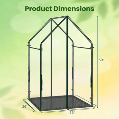 Mini Green House Metal Frame with Waterproof Bottom Mat and Wind Ropes-L
