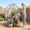 Mini Green House Metal Frame with Waterproof Bottom Mat and Wind Ropes-XL